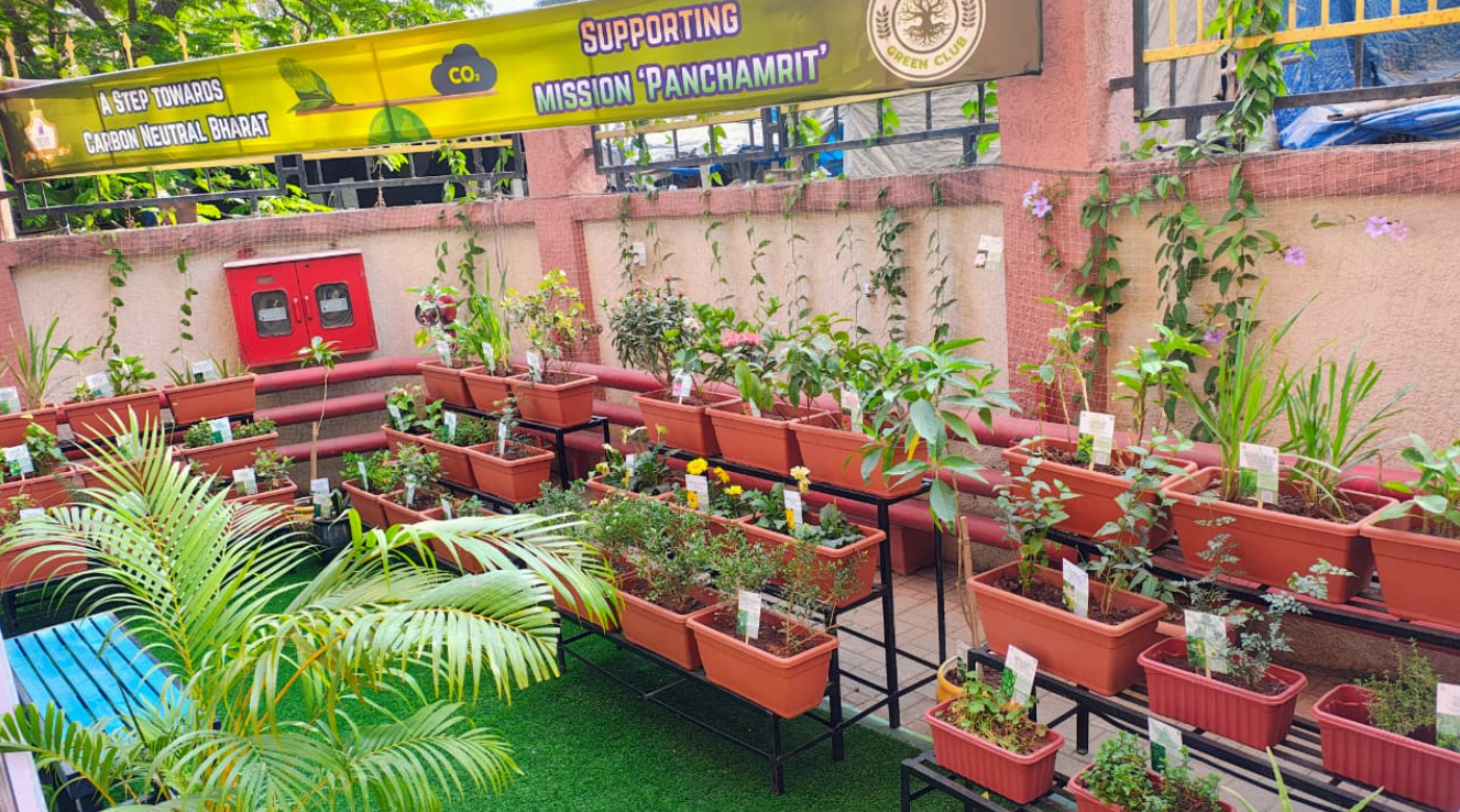A Blooming Initiative: TRCAC Launches Eco Garden to Inspire Green Learning