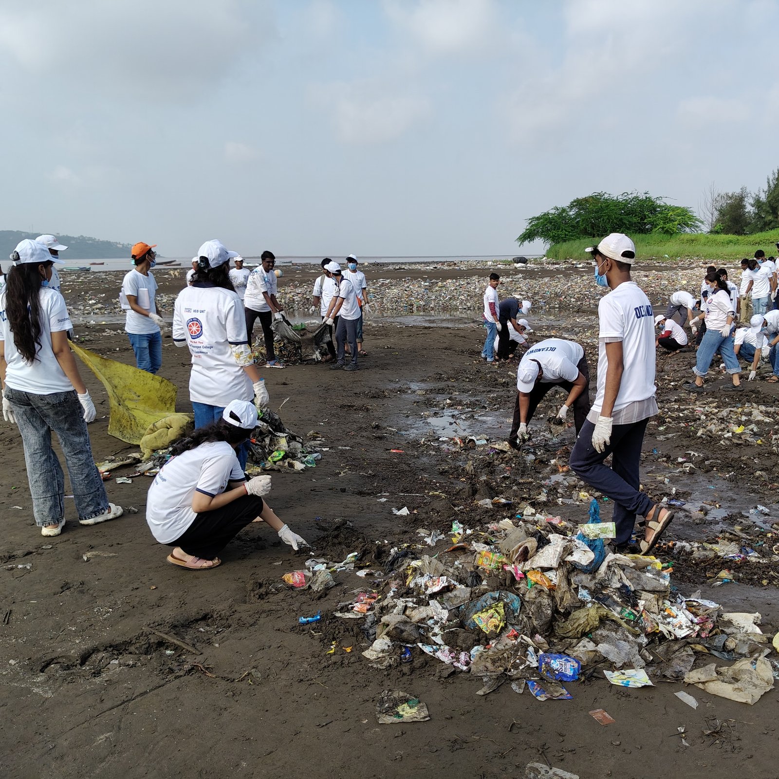Towards a Cleaner Coastline: NSS Organizes Beach Cleanup