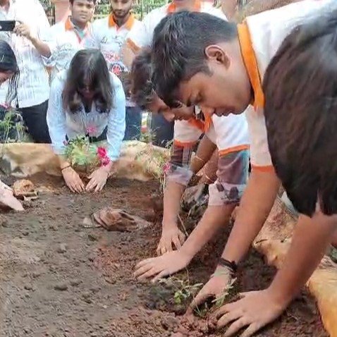 Grow Green, Breathe Clean: TRCAC Plantation Initiative